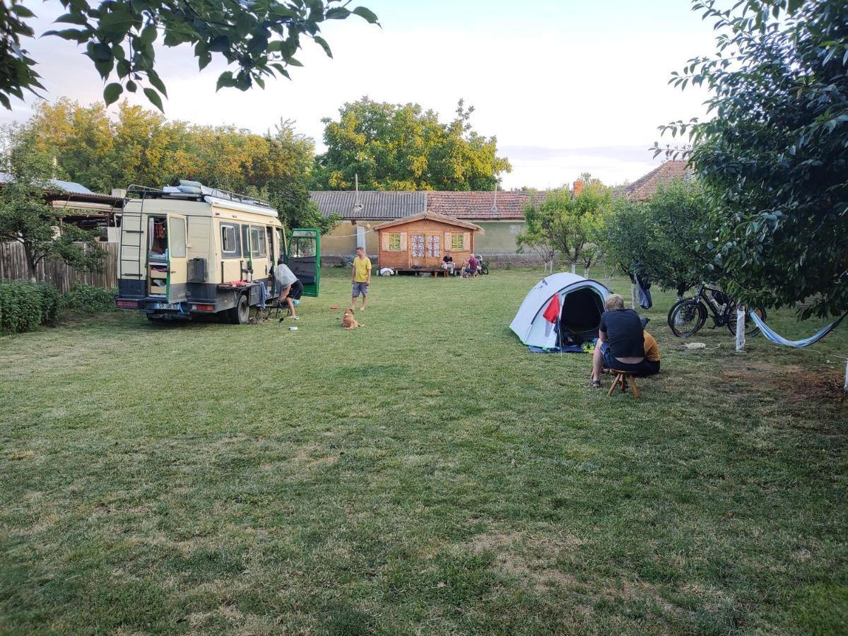 Edelweiss Guesthouse, Glamping And Camping Suhaia エクステリア 写真